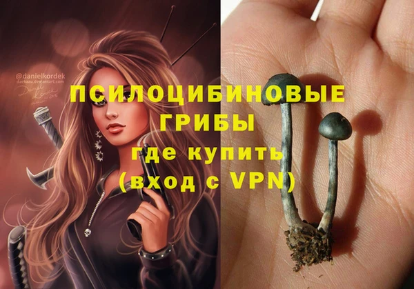 экстази Липки